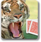 Three Times Rhyme Cards