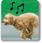 Three Times Song - Video Activity